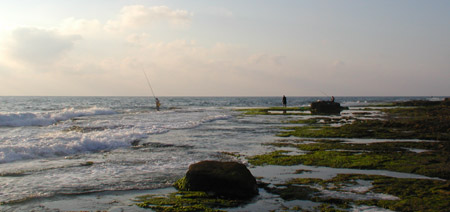 דיגים על החוף